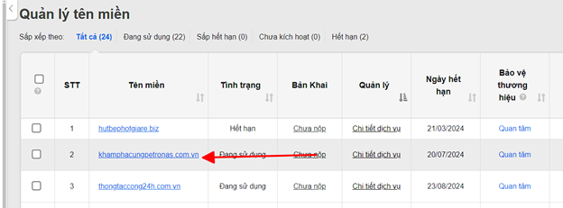 [tên Miền] Hướng Dẫn Sửa Bản Ghi Tên Miền Tại Mắt Bão